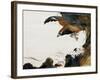 Eagle with Monkey-Zeshin Shibata-Framed Giclee Print