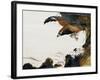 Eagle with Monkey-Zeshin Shibata-Framed Giclee Print