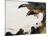 Eagle with Monkey-Zeshin Shibata-Mounted Giclee Print