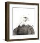 Eagle-Philippe Debongnie-Framed Art Print