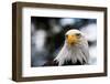 Eagle-rihardzz-Framed Photographic Print