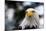 Eagle-rihardzz-Mounted Photographic Print