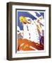 Eagle-David Chestnutt-Framed Giclee Print