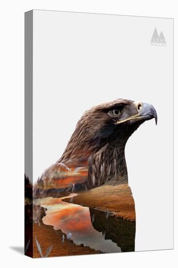 Eagle-PhotoINC-Stretched Canvas