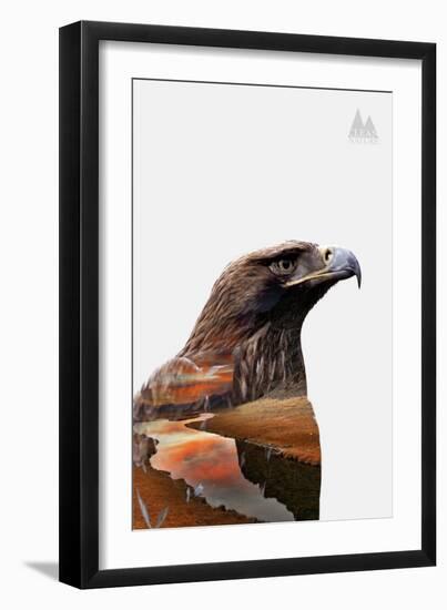 Eagle-PhotoINC-Framed Art Print