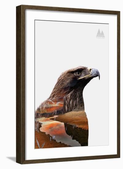 Eagle-PhotoINC-Framed Art Print