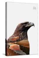 Eagle-PhotoINC-Stretched Canvas