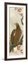 Eagle-Koson Ohara-Framed Giclee Print