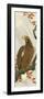 Eagle-Koson Ohara-Framed Giclee Print