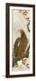 Eagle-Koson Ohara-Framed Giclee Print