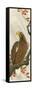 Eagle-Koson Ohara-Framed Stretched Canvas