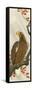 Eagle-Koson Ohara-Framed Stretched Canvas