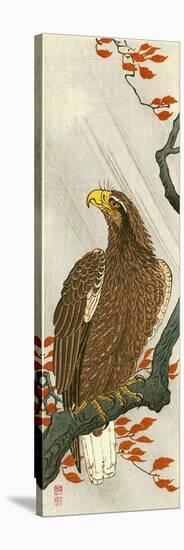 Eagle-Koson Ohara-Stretched Canvas