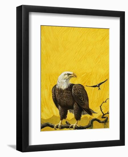 Eagle-English School-Framed Giclee Print