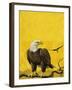 Eagle-English School-Framed Giclee Print