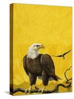 Eagle-English School-Stretched Canvas