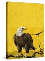 Eagle-English School-Stretched Canvas