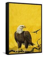 Eagle-English School-Framed Stretched Canvas