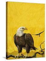 Eagle-English School-Stretched Canvas