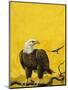 Eagle-English School-Mounted Premium Giclee Print