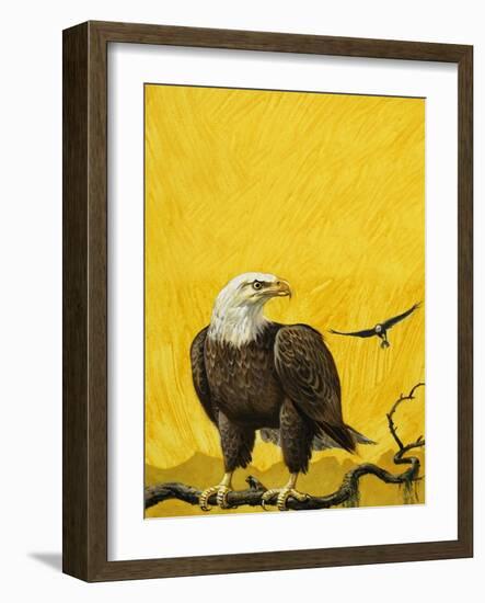 Eagle-English School-Framed Giclee Print