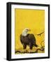 Eagle-English School-Framed Giclee Print