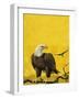 Eagle-English School-Framed Giclee Print