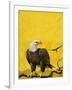 Eagle-English School-Framed Giclee Print