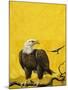 Eagle-English School-Mounted Giclee Print