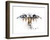 Eagles Become-Alex Cherry-Framed Art Print