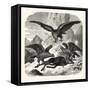 Eagles Fighting over a Chamois, Mountains, 1855-null-Framed Stretched Canvas