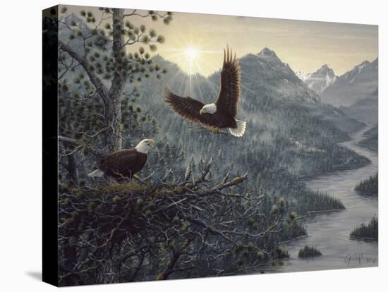 Eagles Nest-Jeff Tift-Stretched Canvas