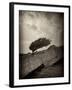 Eander-David Baker-Framed Photographic Print