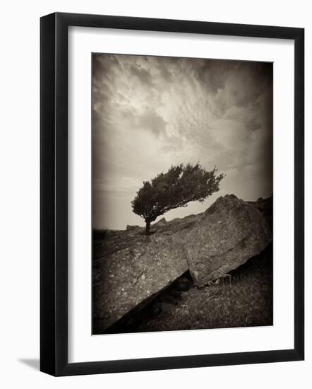 Eander-David Baker-Framed Photographic Print