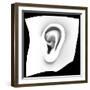 Ear, Artwork-PASIEKA-Framed Premium Photographic Print