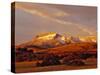 Ear Mountain Along the Rocky Mountain Front, Montana, USA-Chuck Haney-Stretched Canvas