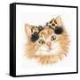 Ear Muff Kitten-Karen Middleton-Framed Stretched Canvas