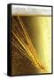 Ear of Barley in Beer (Close-Up)-Bodo A^ Schieren-Framed Stretched Canvas