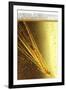 Ear of Barley in Beer (Close-Up)-Bodo A^ Schieren-Framed Photographic Print