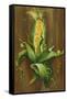 Ear of Corn-Gigi Begin-Framed Stretched Canvas