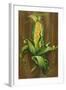 Ear of Corn-Gigi Begin-Framed Giclee Print