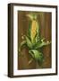 Ear of Corn-Gigi Begin-Framed Giclee Print