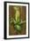 Ear of Corn-Gigi Begin-Framed Giclee Print