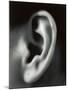 Ear-Cristina-Mounted Photographic Print