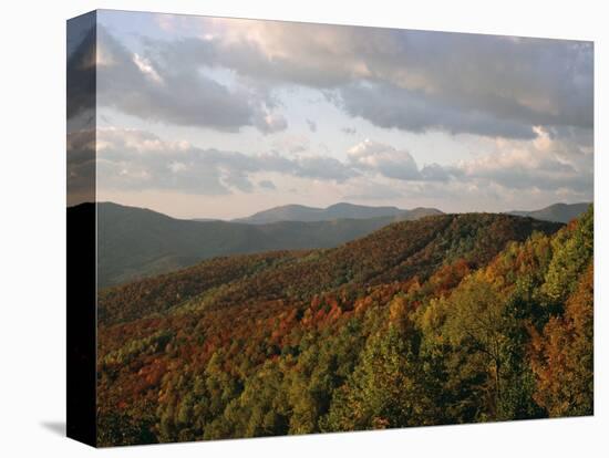 Earling Morning Landscape, Little Switzerland, Blue Ridge Parkway, USA-James Green-Stretched Canvas