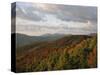 Earling Morning Landscape, Little Switzerland, Blue Ridge Parkway, USA-James Green-Stretched Canvas