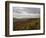 Earling Morning Landscape, Little Switzerland, Blue Ridge Parkway, USA-James Green-Framed Photographic Print