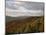 Earling Morning Landscape, Little Switzerland, Blue Ridge Parkway, USA-James Green-Mounted Photographic Print
