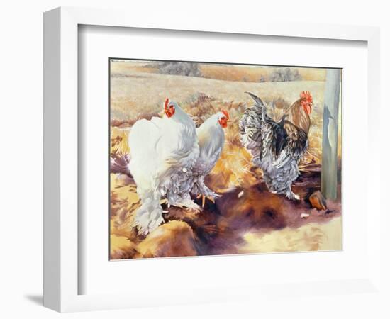 Earls Grove, 1995-Sandra Lawrence-Framed Giclee Print