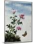 Early 19th-Century Chinese Watercolor of Pink Flowers-null-Mounted Giclee Print